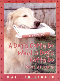 A DOG'S GOTTA DO WHAT A DOG'S GOTTA DO
