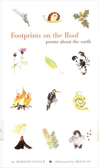 FOOTPRINTS ON THE ROOF: Poems About the Earth
