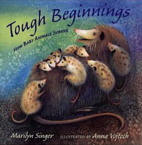 TOUGH BEGINNINGS: How Baby Animals Survive