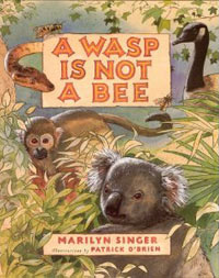 A WASP IS NOT A BEE
