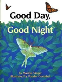 Good Day Good Night
