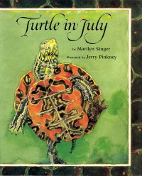 Turtle in July