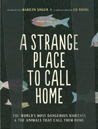 A Strange Place to Call Home