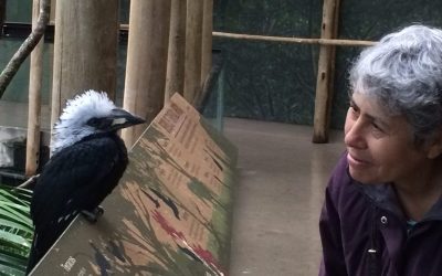 Me and hornbill